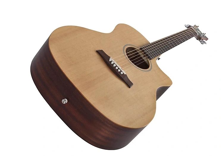 Image of Schecter guitar to convey the Best Acoustic Guitar Brand